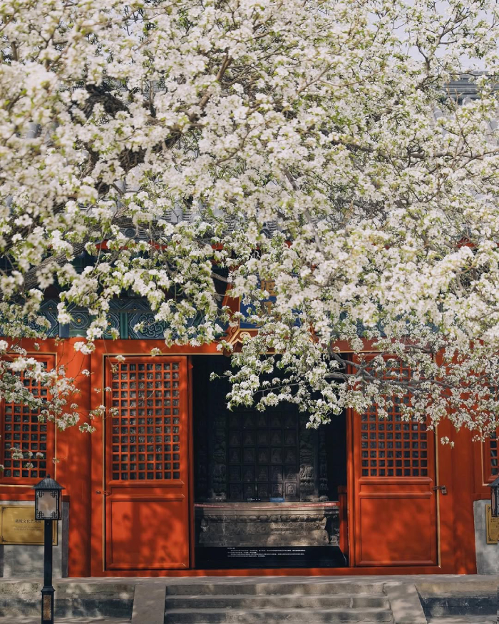 Tử Cấm Thành