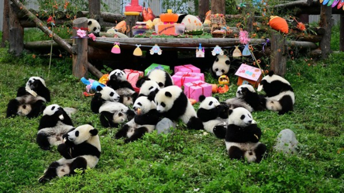 du lịch Trùng Khánh