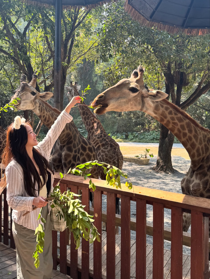 Chimelong Safari Park