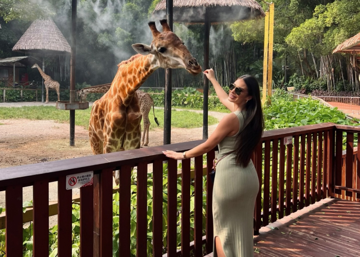 Chimelong Safari Park